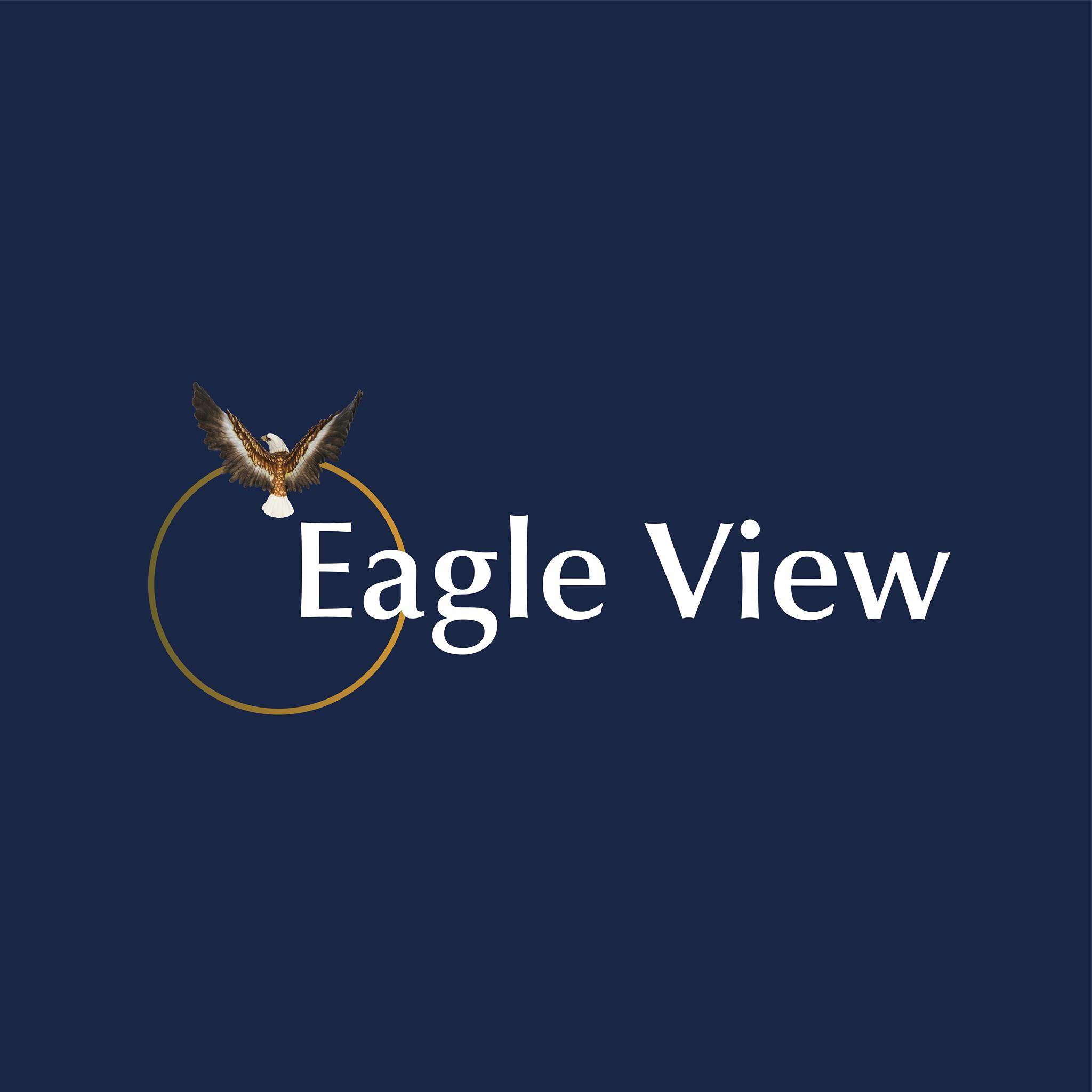 Eagle View Investigations