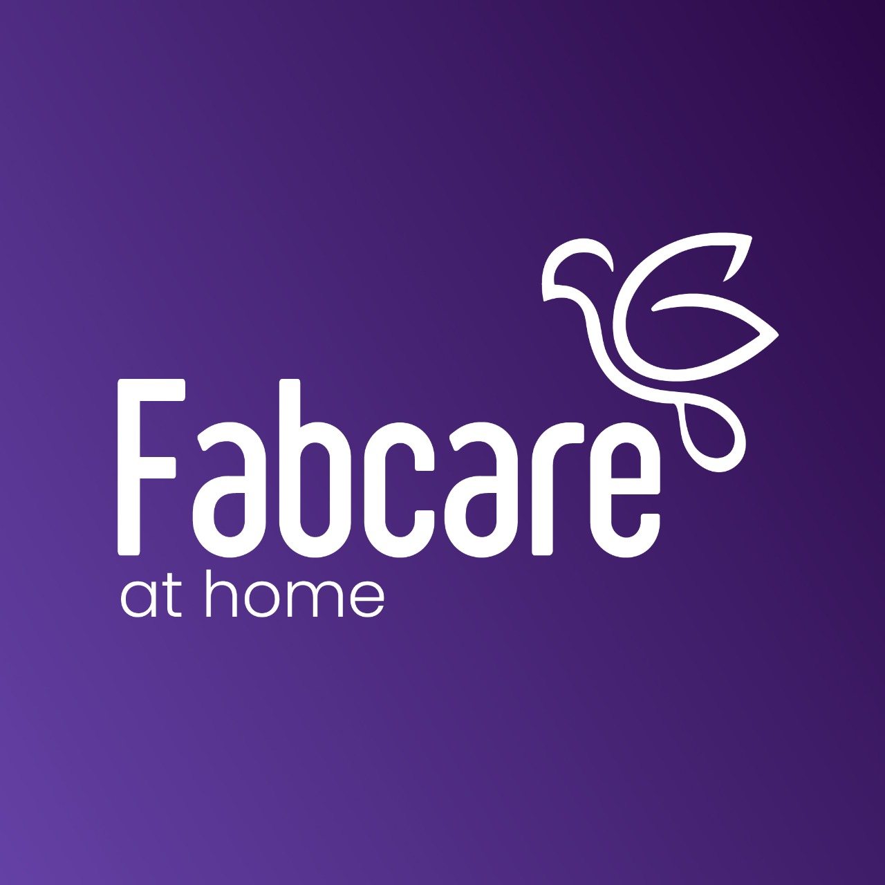 fabcare at home