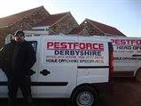 PestForce Derbyshire