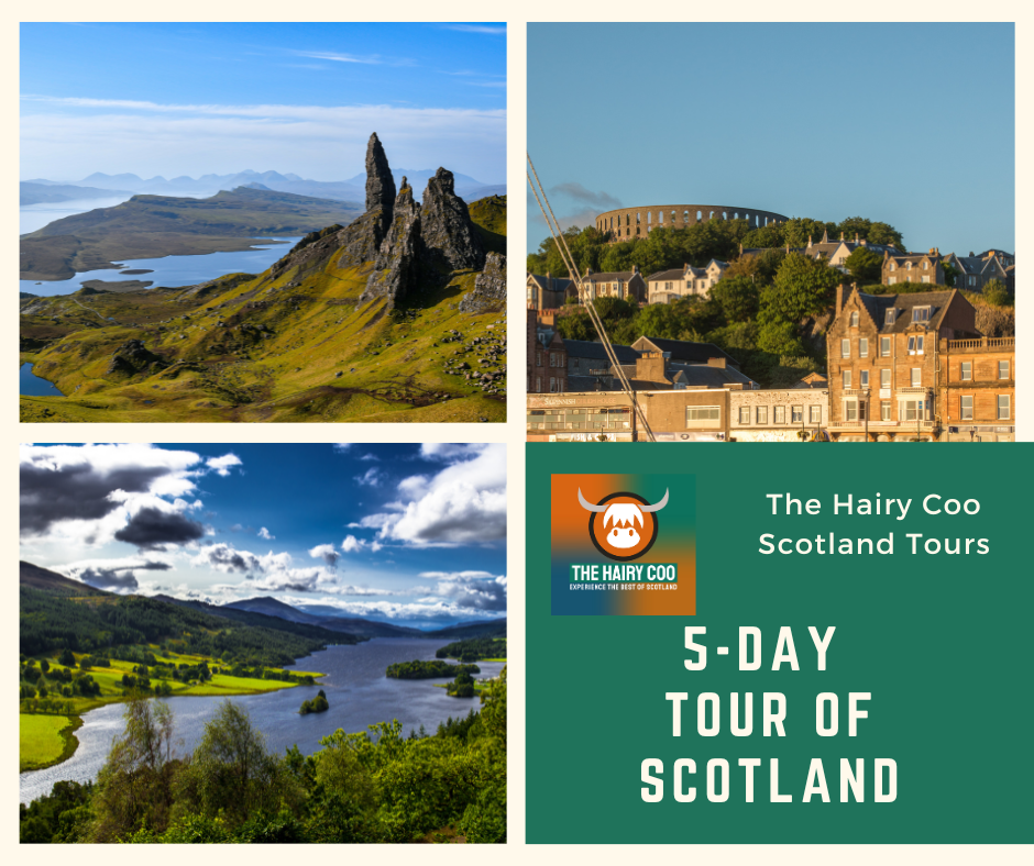 5 Day Tour of Scotland - The Hairy Coo.png