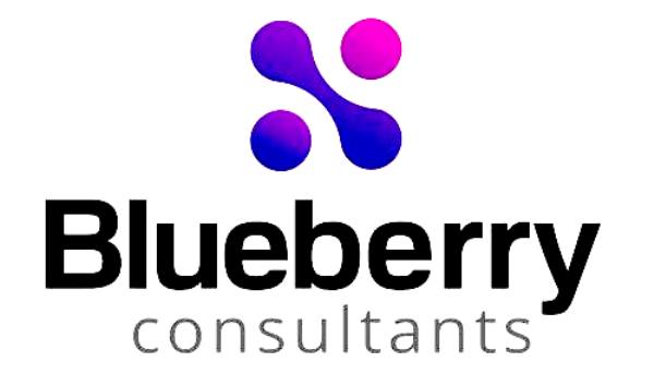 Blueberry Consultants