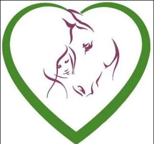 Healing Hearts And Minds With Horses C.I.C.