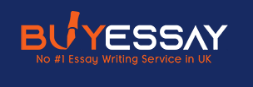 Buy Essay UK