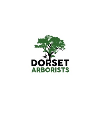 Dorset Arborists