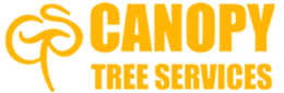 Canopy Tree Services