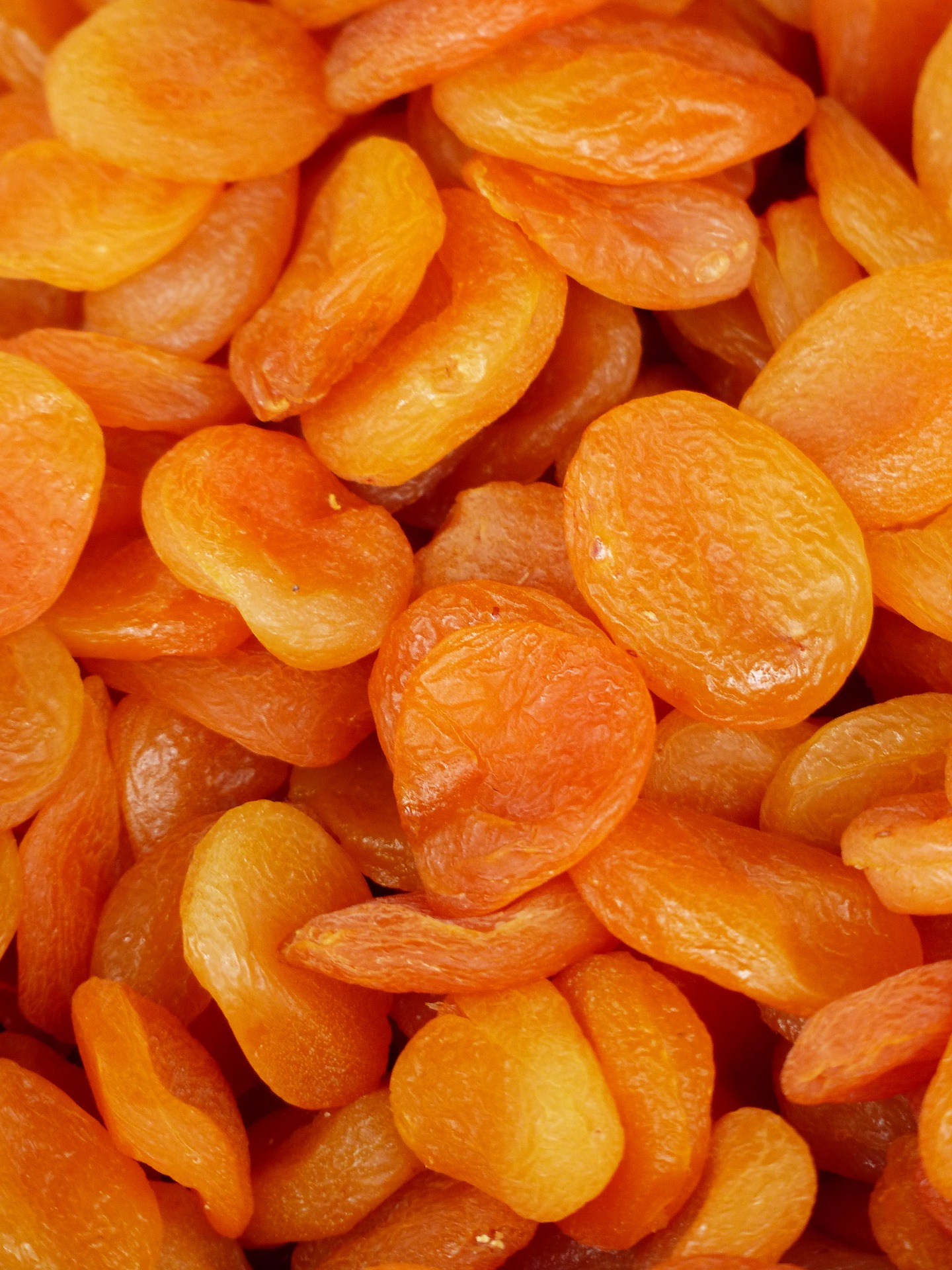 UMDT APRICOTS.jpg