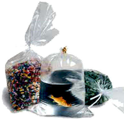 Polythene_Bag_400.jpg